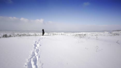 vista-de-la-bahía-georgian-ontario-Canadá-en-invierno-con-la-mujer-de-nieve-caminando