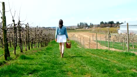 Frau-mit-Gemüse-Korb-zu-Fuß-in-einem-Weinberg-4k