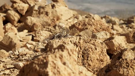 Desert-clifs-near-the-Dead-Sea-in-Israel