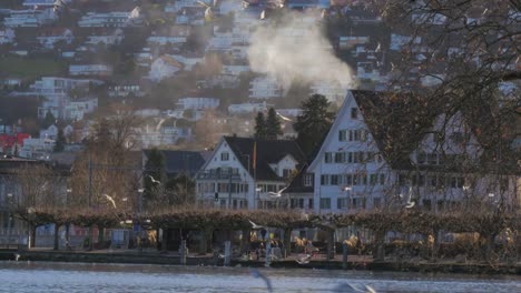 Malerische-Stadt-Wollerau-Schweiz-Häuser-und-Seewasser