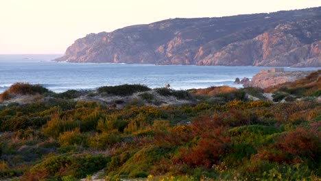 Playa-do-Guincho-dunas-de-arena-de-playa-y-la-costa-al-atardecer