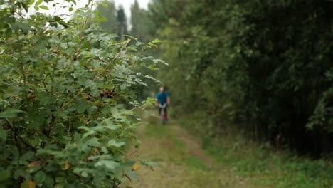 Senior-kaukasischen-Männchen-im-blauen-T-shirt-seinen-Sommer-Urlaub-mit-dem-Fahrrad-zwischen-den-Bäumen-im-Freien-zu-genießen.