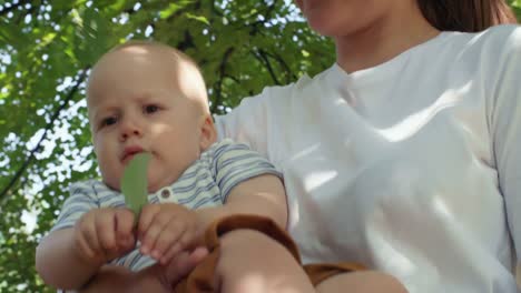 Neugierig-Baby-versuchen,-Blatt-auf-Wanderung-zu-essen