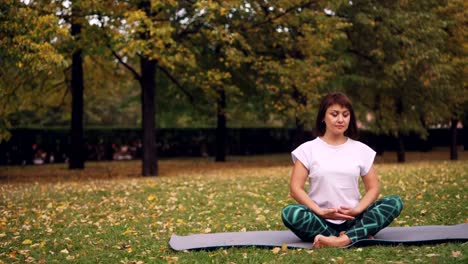 Hübsche-junge-Frau-ist-entspannend-sitzen-in-Lotus-Pose-auf-Yoga-Matte-im-Park-und-Atmung,-ruhen-Sie-sich-nach-individuellen-Praxis.-Meditation-und-Natur-Konzept.