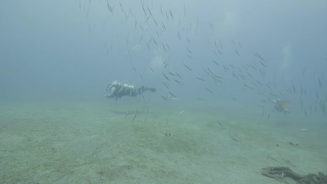 Taucher-am-Meeresboden-Unterwasser-Blick-unter-den-Fischen-schwimmen.-Tauchen-im-Meer