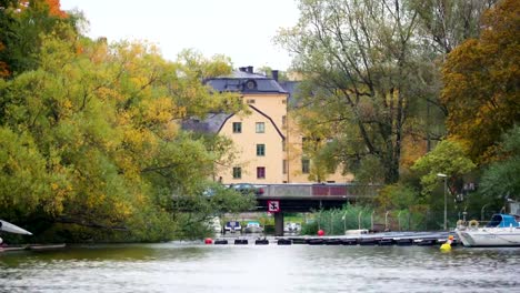 Bäume-und-Pflanzen-fast-bedeckt-die-kleine-Brücke-in-Stockholm-Schweden