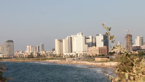 Tel-Aviv