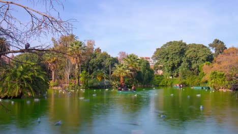 spain-barcelona-day-light-ciutadella-park-boat-riding-pond-4k-time-lapse