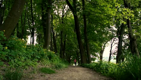 Mädchen-Running-im-Park