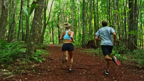 Jogging-im-Wald