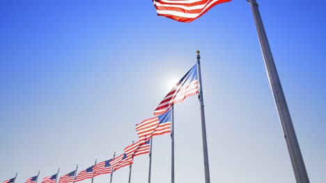 video-shot-in-washington-dc-of-american-flags