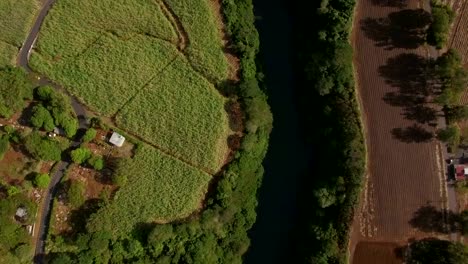 Flying-over-river-and-sugarcane-fields,-Mauritius