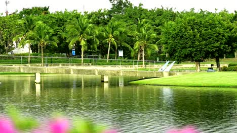 Las-personas-son-correr-y-correr-para-hacer-ejercicio-en-la-noche-en-el-Parque