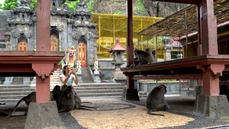 Mädchen-Fotos-auf-einem-Smartphone-Affen-auf-dem-Territorium-eines-buddhistischen-Tempels