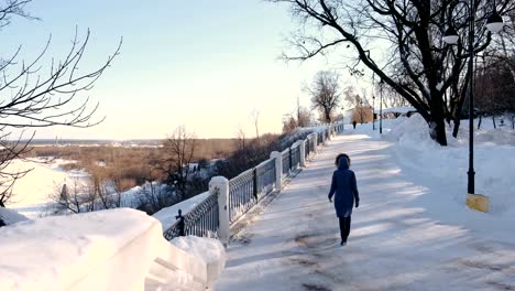 Young-woman-in-blue-down-jacket-with-fur-hood-walking-in-winter-park.-Back-view.