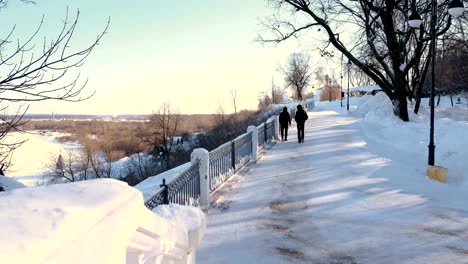 Two-guys-wearing-in-black-walking-in-winter-park.-Back-view.