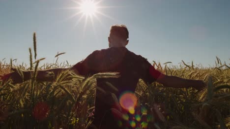 Adult-walking-through-Beautiful-wheat-field-with-blue-sky-and-epic-sun-light---shot-on-RED