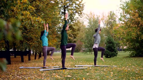 Side-view-of-three-slim-girls-doing-yoga-in-park-practising-balancing-exercises-standing-on-one-leg-on-mat-and-moving-arms-and-body.-Youth,-leisure-and-hobby-concept.