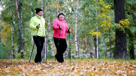 Alte-Frauen-während-einer-skandinavischen-in-einem-herbstlichen-Park-zu-Fuß-gehen.-Seitenwinkel