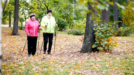 Two-elderly-women-in-jackets-are-doing-Scandinavian-walking-in-the-park