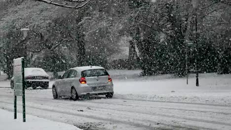 Nevadas