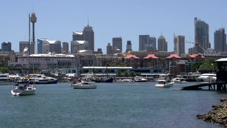 Glebe-Point-with-Sydney-skyline-and-Sydney-tower