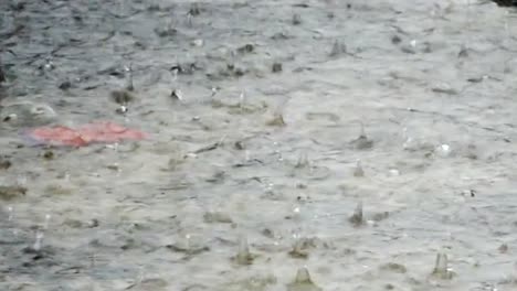 Gotas-de-lluvia-cayendo-en-un-charco-de-agua-en-un-gray-rainy-city-día.