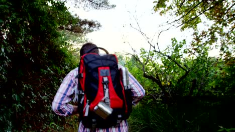 Rear-view-of-hiker-walking