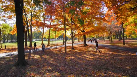 video-shot-in-washington-dc-constitution-gardens-fall