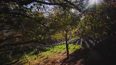 Arlington-Friedhof-während-des-Herbstes