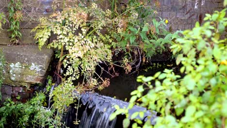 Dren-de-derrame-en-un-canal-en-el-centro-de-la-ciudad-de-Birmingham.