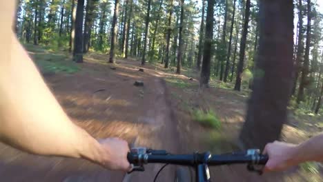 Mountain-biker-POV