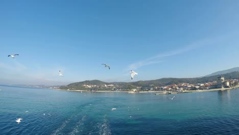 Blick-der-Möwe-Vögel-fliegen-mit-Phospfori-Turm-in-Ouranopolis,-Athos-Halbinsel,-Berg-Athos,-Chalkidiki,-Griechenland-im-Hintergrund