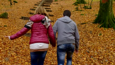 Liebhaber,-die-zu-Fuß-halten-in-Hände-fallen-Park.-Liebe,-Natur