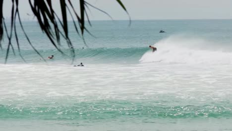 pan-of-surfers-riding-a-wave-at-rainbow-bay