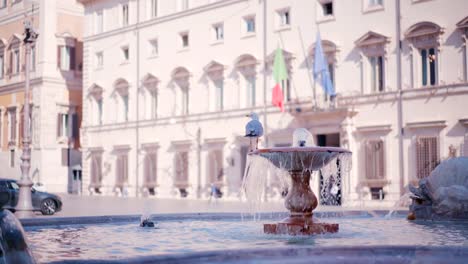 Rom-Brunnen.-Weiße-Möwe-stehend-auf-den-Brunnen-in-der-Stadt-Rom-auf-dem-zentralen-Platz-in-der-Nähe-des-Hauses,-an-dem-die-Flagge-von-Italien-und-der-Europäischen-Union-hängen.-Italien-Brunnen