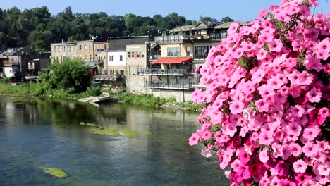 Grand-River-at-Paris,-Canada-with-flowers