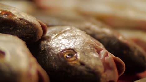 Nahaufnahme-von-einem-Haufen-von-Fisch-auf-einem-Fischmarkt