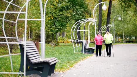 Las-mujeres-de-edad-en-chaquetas-caminando-sobre-la-acera-en-un-parque-de-otoño-durante-un-escandinavo