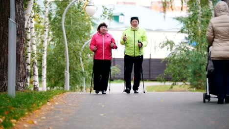 Las-mujeres-de-edad-caminando-por-la-acera-en-un-parque-de-otoño-durante-un-escandinavo