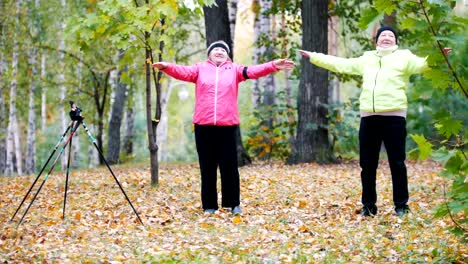 Reife-Frau-Turnen-in-einem-herbstlichen-Park-nach-einem-skandinavischen-Spaziergang