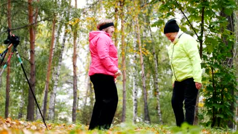 Mature-women-doing-gymnastics-and-talking-in-an-autumn-park