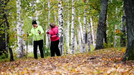 Mature-women-throws-leaves-on-each-other-during-a-scandinavian-walk