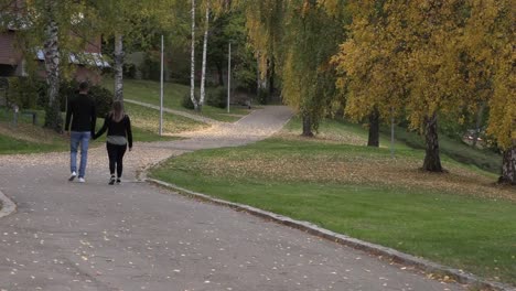 Chico-joven-con-una-chica-caminando-en-el-parque,-cogidos-de-la-mano