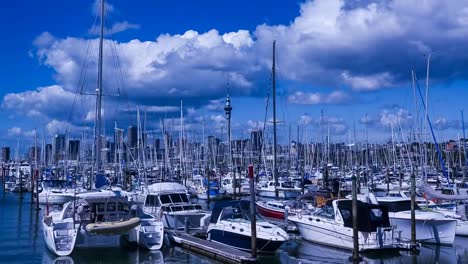 Auckland-harbor-New-Zealand