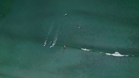 Vista-aérea-de-surfistas-en-las-olas