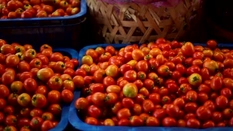 Haufen-Bio-Tomaten-zum-Verkauf-auf-traditionellem-Gemüsemarkt