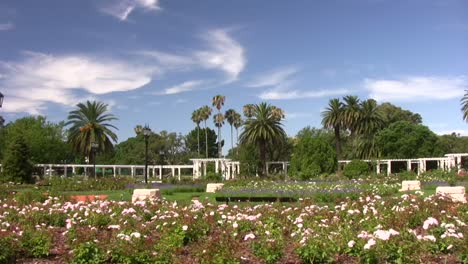 Jardín-de-rosas-de-ensueño