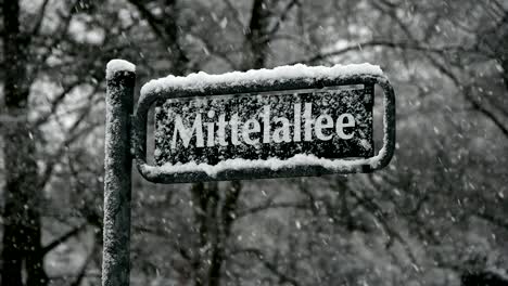 Schneemenge