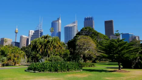 Los-edificios-de-la-ciudad,-Royal-Sydney-al-jardín-botánico